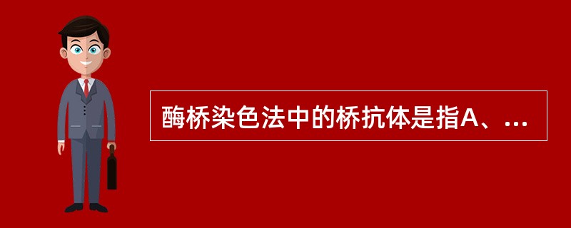 酶桥染色法中的桥抗体是指A、免疫反应系统中的特异性抗体B、显色系统中的抗酶抗体C