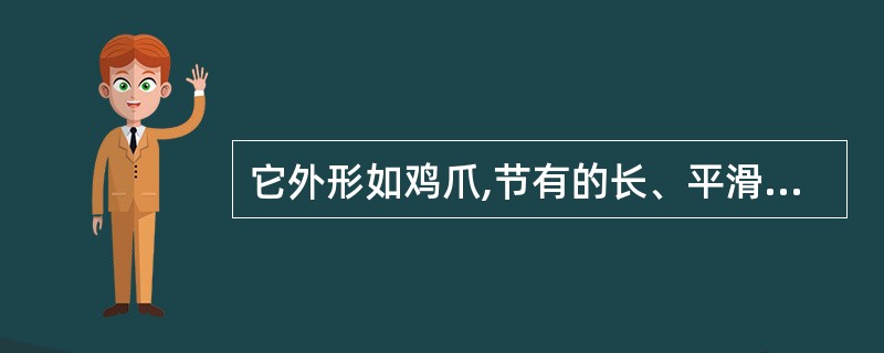 它外形如鸡爪,节有的长、平滑如茎杆(过桥),此药材是()