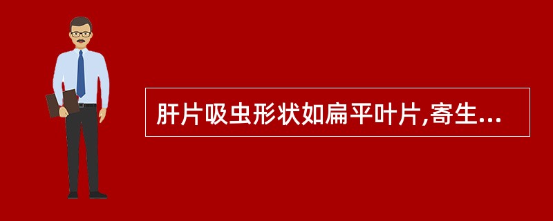 肝片吸虫形状如扁平叶片,寄生在牛、羊的肝肌胆管内。 ( )