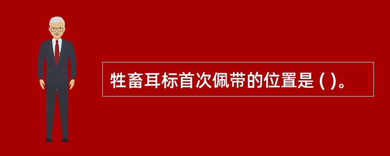 牲畜耳标首次佩带的位置是 ( )。