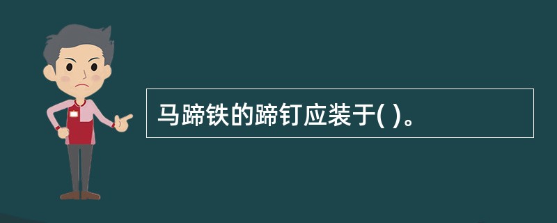 马蹄铁的蹄钉应装于( )。