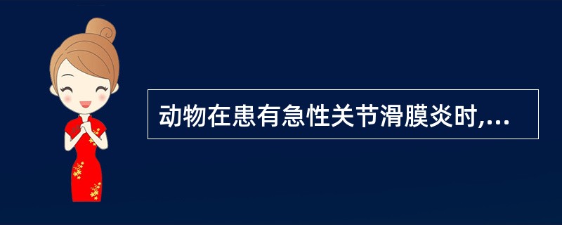 动物在患有急性关节滑膜炎时,触诊有波动或饱和而又弹性,无热痛。