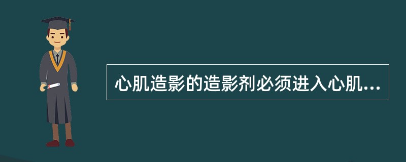 心肌造影的造影剂必须进入心肌内的冠状动脉的细小分支,所以造影剂微气泡直径必须小于