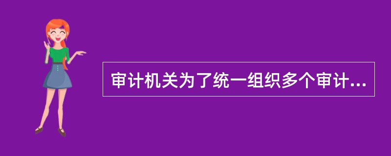 审计机关为了统一组织多个审计组对某一行业或者专项资金进行审计而制定的总体工作计划