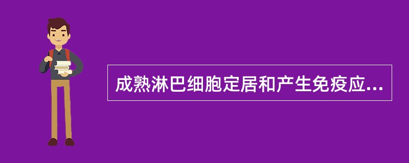 成熟淋巴细胞定居和产生免疫应答的场所是A、胸腺B、淋巴结C、黏膜淋巴结组织D、脾