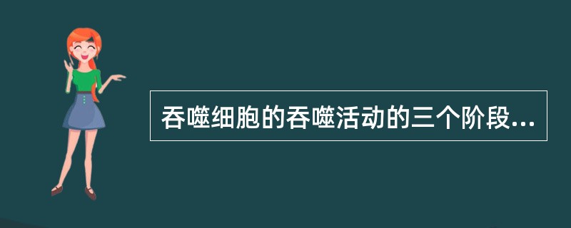 吞噬细胞的吞噬活动的三个阶段是A、趋化、吸附、胞内杀灭作用B、趋化、吞噬、胞内杀