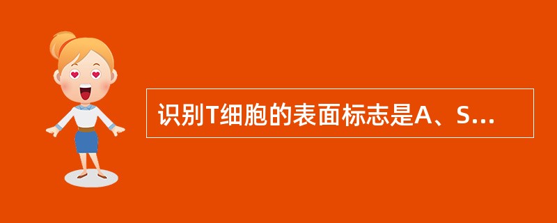 识别T细胞的表面标志是A、SmlgB、C3b受体C、羊红细胞受体D、EB病毒受体