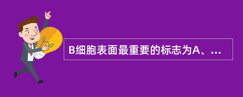 B细胞表面最重要的标志为A、SmIgB、FcγRC、CD40D、CD15E、CD