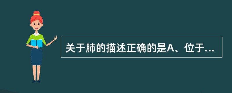 关于肺的描述正确的是A、位于胸膜腔内,纵隔两侧B、肺尖达胸廓上口C、肺纵隔面前部