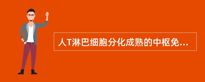 人T淋巴细胞分化成熟的中枢免疫器官是A、胸腺B、法氏囊C、淋巴结D、脾脏E、骨髓