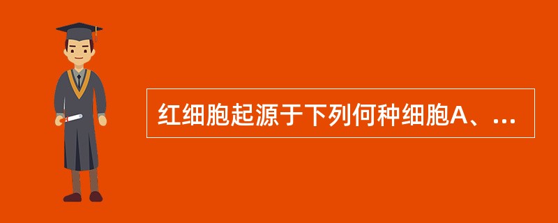 红细胞起源于下列何种细胞A、原红细胞B、红系祖细胞C、早幼红细胞D、巨噬细胞E、