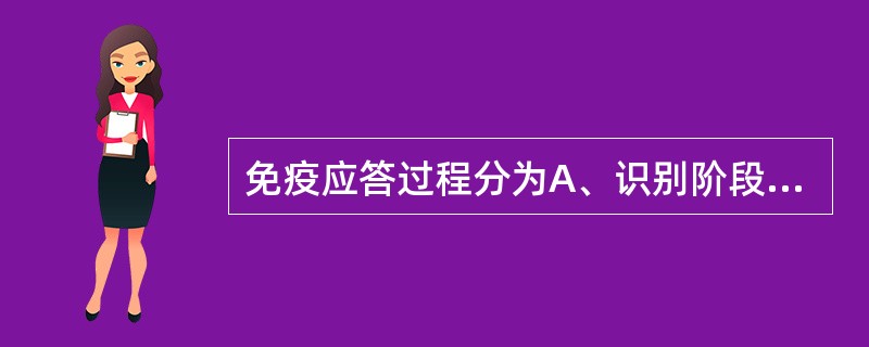 免疫应答过程分为A、识别阶段、活化阶段、效应阶段B、识别阶段、活化阶段、细胞阶段