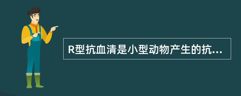 R型抗血清是小型动物产生的抗血清,其代表为A、豚鼠B、狗C、家兔D、家猫E、鸡