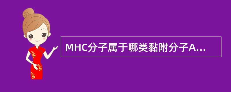 MHC分子属于哪类黏附分子A、整合素家族B、免疫球蛋白超家族C、选择素家族(Se