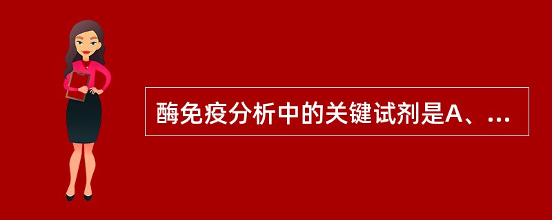 酶免疫分析中的关键试剂是A、缓冲液B、牛血清白蛋白C、生理盐水D、酶标记结合物E