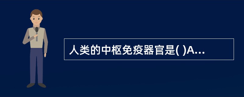 人类的中枢免疫器官是( )A、脾脏和胸腺B、骨髓和黏膜免疫系统C、淋巴结和脾脏D