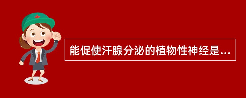 能促使汗腺分泌的植物性神经是A、交感神经释放乙酰胆碱作用于N受体B、副交感神经释