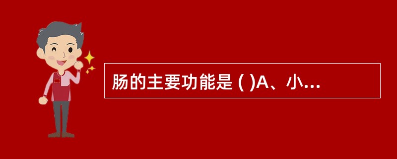 肠的主要功能是 ( )A、小肠为食物消化吸收的主要部位B、肠道各段在食物消化吸收