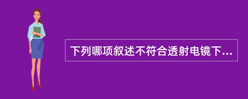 下列哪项叙述不符合透射电镜下的Auer小体A、透射的棒状小体,内有疏松的纤维状物