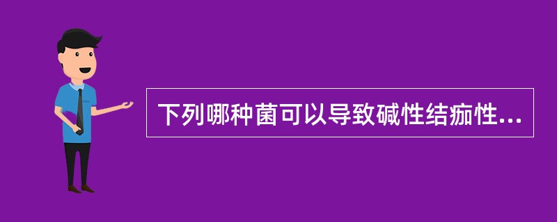 下列哪种菌可以导致碱性结痂性膀胱炎A、解脲棒杆菌B、肠球菌C、杰克棒杆菌D、大肠