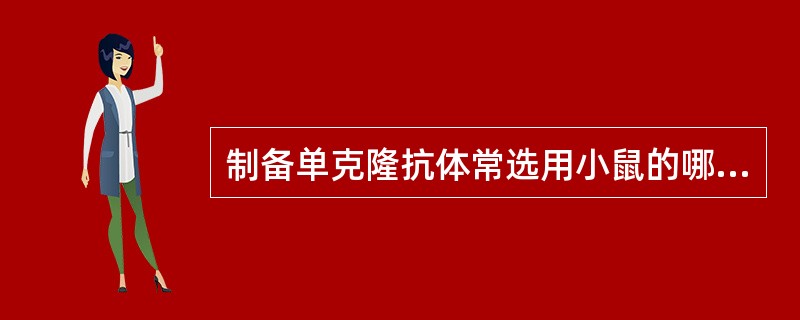 制备单克隆抗体常选用小鼠的哪类细胞作为饲养细胞A、中性粒细胞B、NK细胞C、肥大