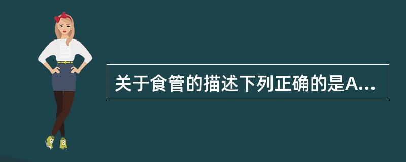 关于食管的描述下列正确的是A、总长约20cmB、上端在第6颈椎体下缘与咽相接C、