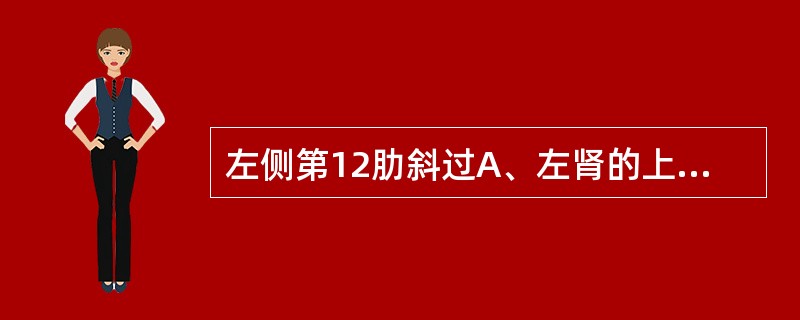 左侧第12肋斜过A、左肾的上方B、左肾的下方C、左肾后面的上部D、左肾后面的中部