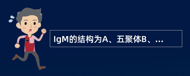 IgM的结构为A、五聚体B、四聚体C、三聚体D、二聚体E、单体