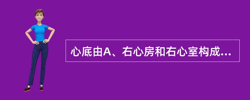 心底由A、右心房和右心室构成B、左心房和左心室构成C、左、右心耳构成D、左、右心