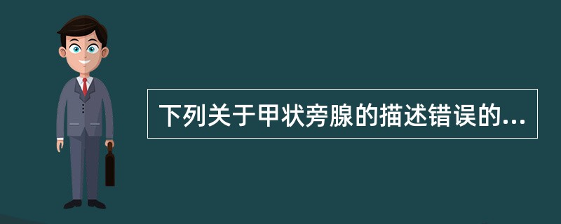 下列关于甲状旁腺的描述错误的是A、为扁椭圆形黄豆大小B、左右各一C、每个重30~