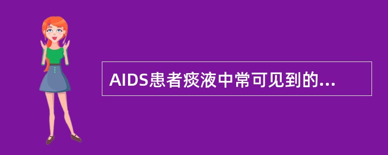 AIDS患者痰液中常可见到的寄生虫是 ( )A、阿米巴原虫B、卡氏肺孢子虫C、细