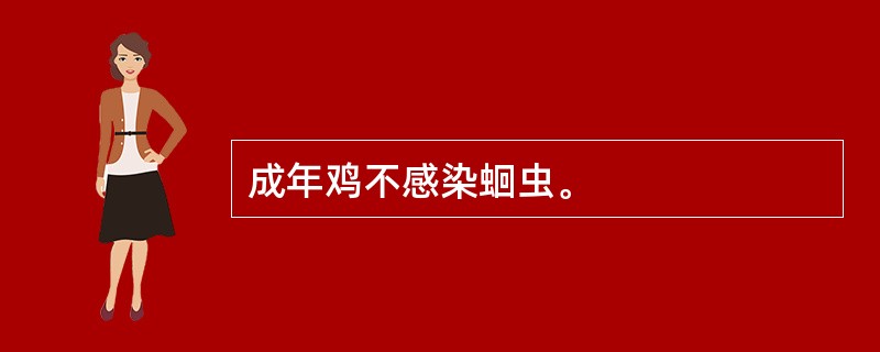 成年鸡不感染蛔虫。