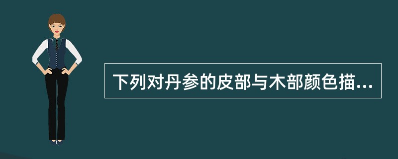 下列对丹参的皮部与木部颜色描述正确的是()。