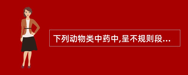 下列动物类中药中,呈不规则段状,全体具环节,革质,气腥,味微咸的是()。