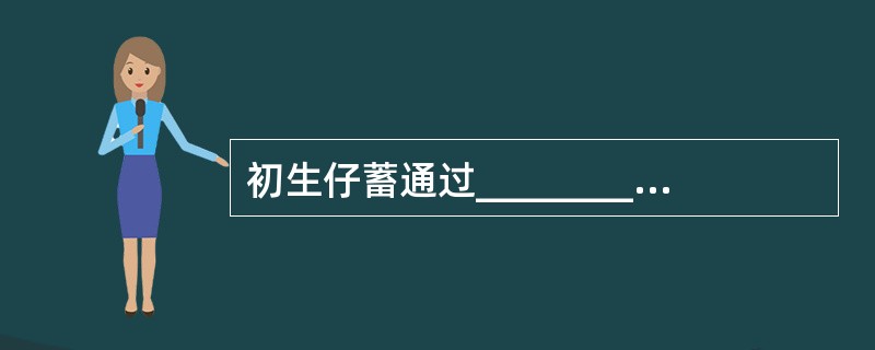 初生仔蓄通过___________获得母源抗体,禽类则经___________将