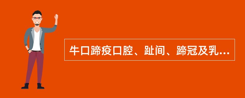 牛口蹄疫口腔、趾间、蹄冠及乳头皮肤都可发生水泡破溃形成大烂斑,逐渐愈合。