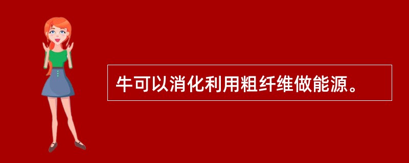 牛可以消化利用粗纤维做能源。