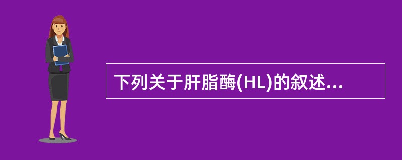 下列关于肝脂酶(HL)的叙述,哪项是错误的( )A、HL活性需要ApoCⅡ作为激