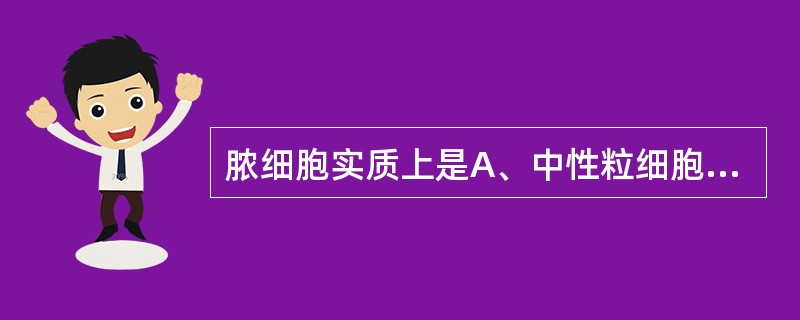 脓细胞实质上是A、中性粒细胞B、红细胞C、单核细胞D、淋巴细胞E、肾小管上皮细胞