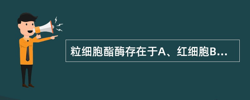 粒细胞酯酶存在于A、红细胞B、上皮细胞C、单核细胞D、淋巴细胞E、中性粒细胞 -