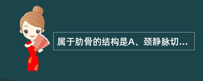 属于肋骨的结构是A、颈静脉切迹B、肋沟C、锁切迹D、肋切迹E、横突肋凹