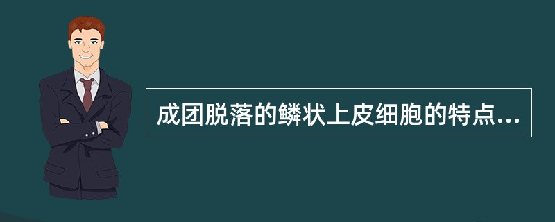 成团脱落的鳞状上皮细胞的特点是 ( )A、细胞呈嵌铺砖状B、胞质融合形成“胞质带