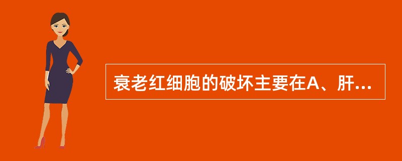 衰老红细胞的破坏主要在A、肝脏B、骨髓C、脾脏D、肾脏E、淋巴