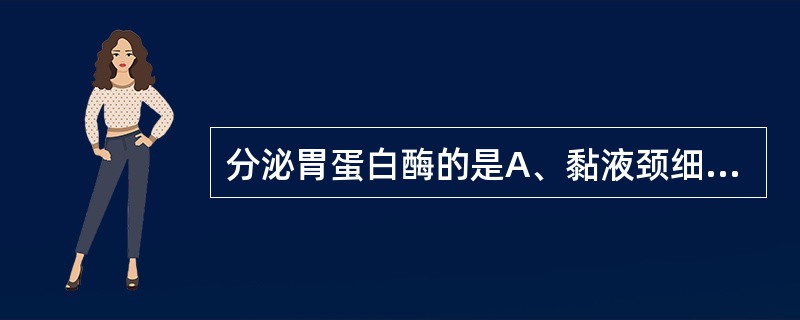 分泌胃蛋白酶的是A、黏液颈细胞B、黏液细胞C、壁细胞D、主细胞E、G细胞