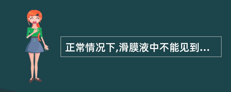 正常情况下,滑膜液中不能见到的细胞是A、中性粒细胞B、淋巴细胞C、单核细胞D、红