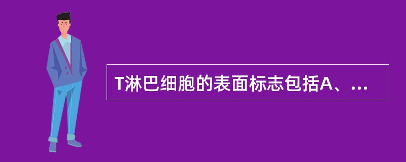 T淋巴细胞的表面标志包括A、有丝分裂原受体B、细胞因子受体C、TCR–CD3复合