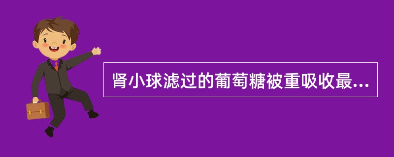 肾小球滤过的葡萄糖被重吸收最多的部位是( )。A、近端小管B、远曲小管C、髓襻降