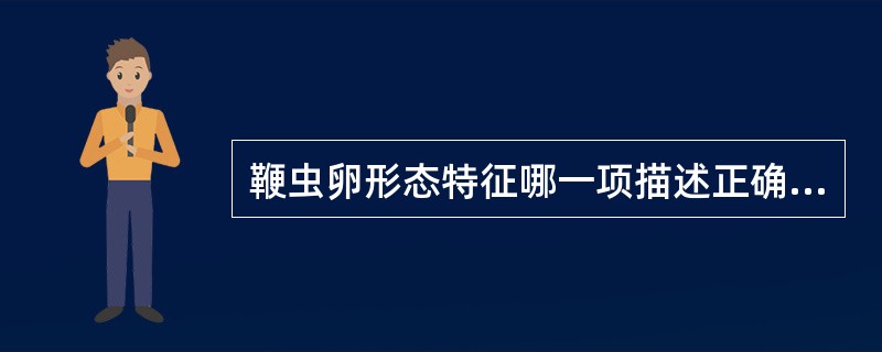 鞭虫卵形态特征哪一项描述正确( )。A、卵壳薄B、有卵盖C、内含一幼虫D、两端有