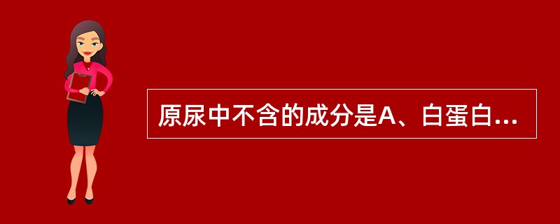 原尿中不含的成分是A、白蛋白B、尿素C、葡萄糖D、肌酐E、钾离子