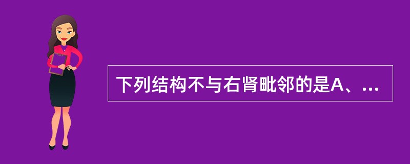 下列结构不与右肾毗邻的是A、十二指肠降部B、升结肠C、脾D、肝E、右肾上腺 -